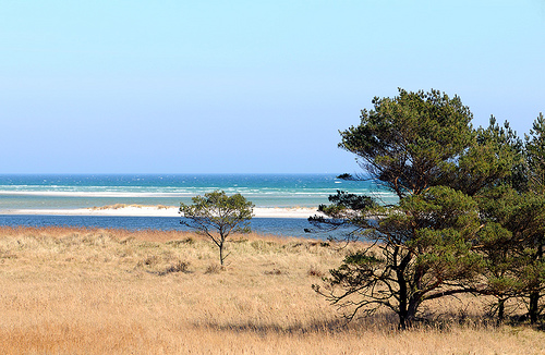 Western Pomerania Lagoon Area National Park